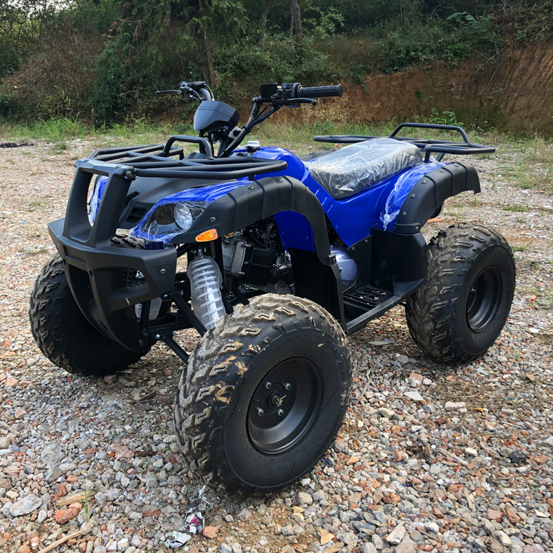 ATV Listrik 4 Kursi 4WD 4-Tak  - Camping Quad ulasan dan harga